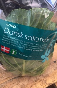 Salatkål / Sommerhvidkål fra Svinningegård. Nem mad